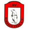 SV Dippach 1926